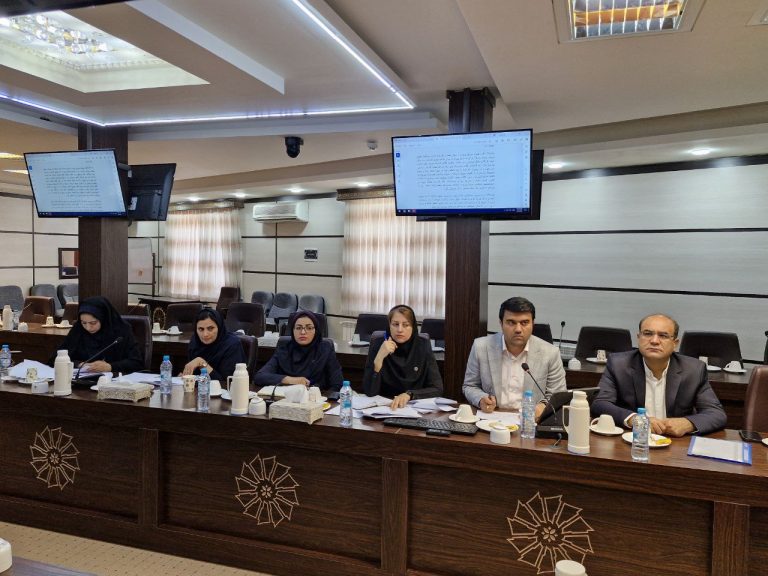 نود و هفتمین جلسه کمیته کارشناسی شورای گفتگوی دولت و بخش خصوصی