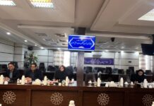 صد و سیزدهمین جلسه کمیته کارشناسی شورای گفتگوی دولت و بخش خصوصی