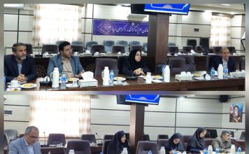 صد و بیست و هفتمین جلسه کمیته کارشناسی شورای گفتگوی دولت و بخش خصوصی