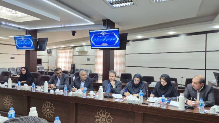 صد و سی و یکمین جلسه کمیته کارشناسی شورای گفتگوی دولت و بخش خصوصی