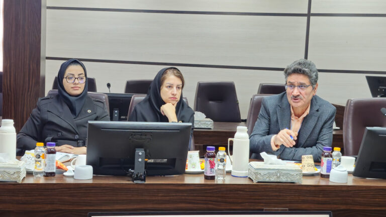 صد و سی و دومین جلسه کمیته کارشناسی شورای گفتگوی دولت و بخش خصوصی