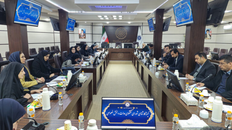 صد و سی و سومین جلسه کمیته کارشناسی شورای گفتگوی دولت و بخش خصوصی