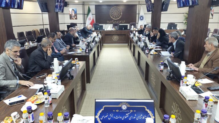 صد و سی و پنجمین جلسه کمیته کارشناسی شورای گفتگوی دولت و بخش خصوصی